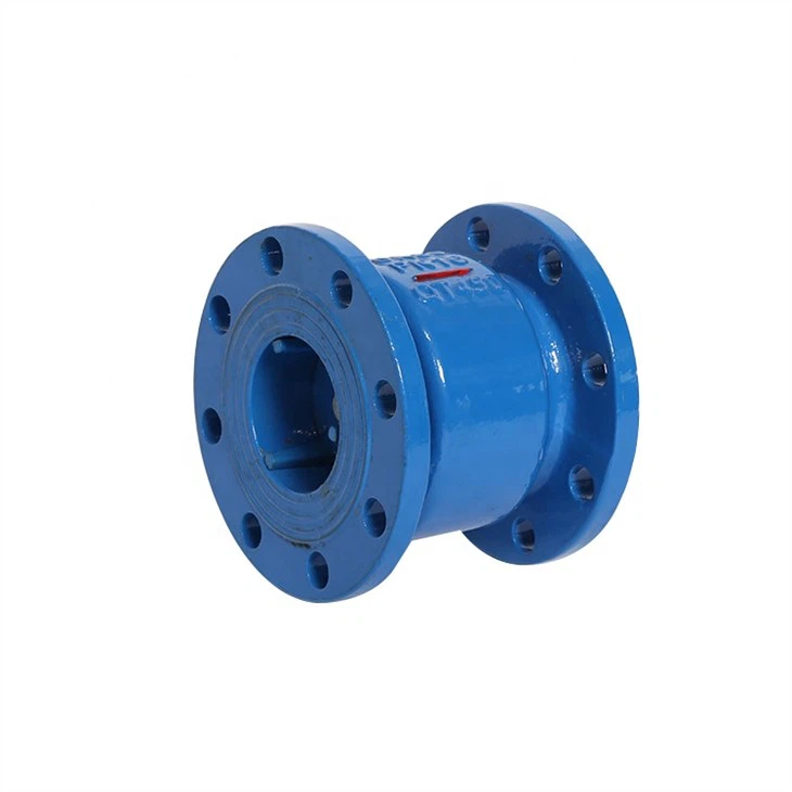 Silent Check Valve